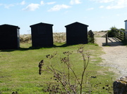 24th Sep 2013 - Walberswick: beach huts
