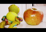 24th Sep 2013 - The big apple!