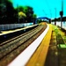 tiny railway by corymbia