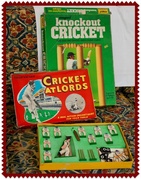 25th Sep 2013 - 25th September 2013 - Cricket in a Box