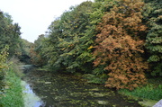 24th Sep 2013 - River in early Fall
