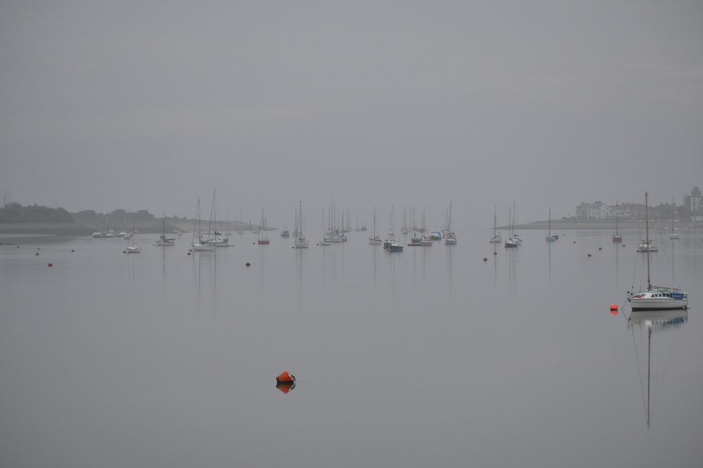 Estuary in the mist by ziggy77