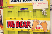 25th Sep 2013 - no bear feet