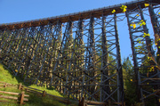 26th Sep 2013 - Kinsol Trestle - Vancouver Island
