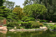 26th Sep 2013 - The Japanese Gardens
