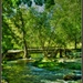 Murphys Creek by joysfocus