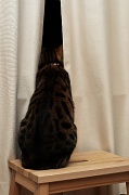 5th Sep 2010 - Peeking kitty.