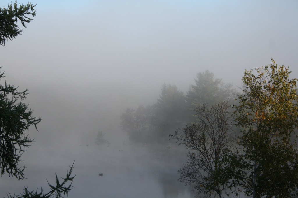 Mist(ic) River by bruni