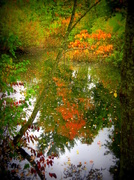 25th Sep 2013 - Fall Reflections