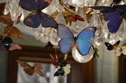 27th Sep 2013 - cristal & butterflies