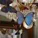 cristal & butterflies by parisouailleurs