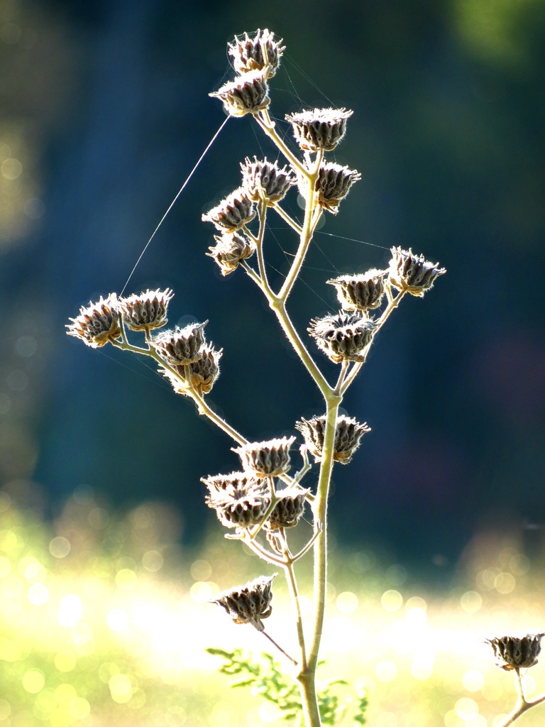 Twenty and One by juliedduncan