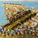 Mosaic workshop  by kiwinanna