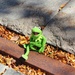 Kermit in fall! by edorreandresen