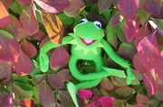 27th Sep 2013 - Kermit on Fire