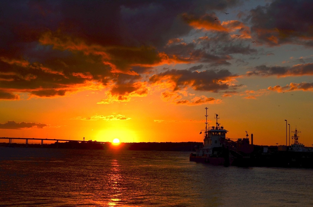 Sunset at The Battery, Ashley River at Charleston Harbor, Charleston, SC by congaree