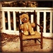 A Teddy Bear's Tale by olivetreeann