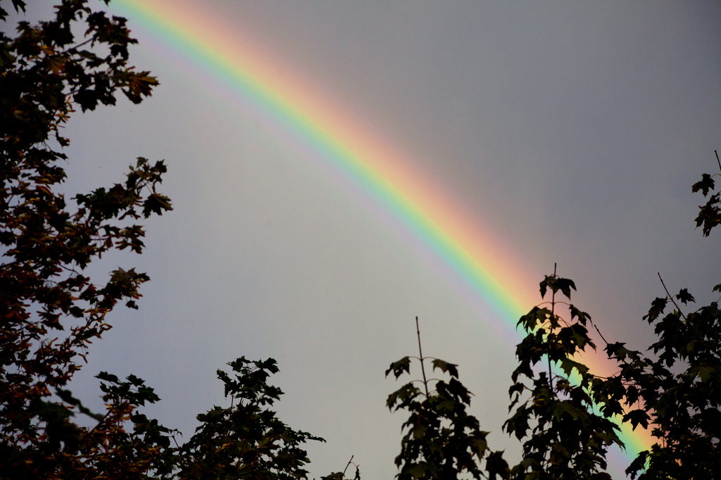 A little slice of rainbow by kiwichick