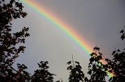24th Sep 2013 - A little slice of rainbow