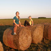 Bale of hay :) by fortong