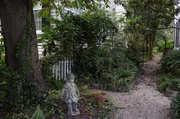 29th Sep 2013 - Garden, Historic district, Charleston, SC