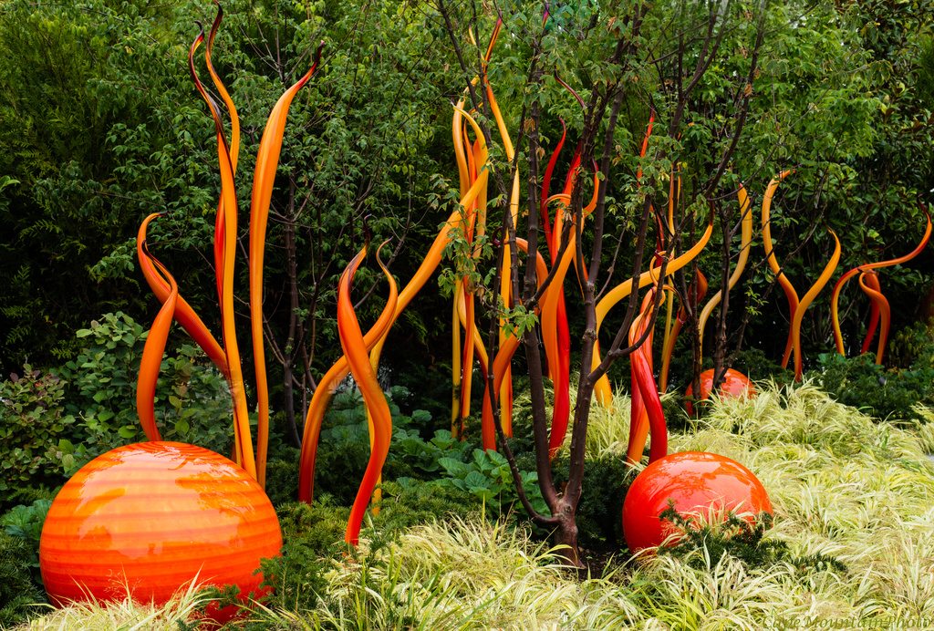 Chihuly Glass Forest by jgpittenger