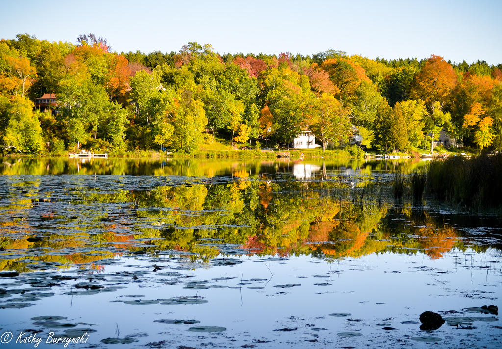 Fall Color Reflections by myhrhelper