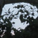Leafy Silhouette Face by loey5150