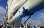 17th Sep 2013 - main sail