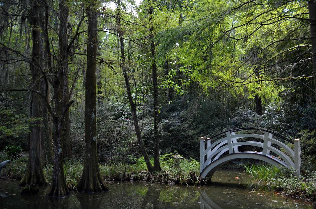 One of the bridges at Magnolia Gardens near Charleston, SC by congaree