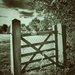 The Gate... by streats
