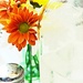 daisies on a green bottle by summerfield
