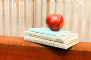 29th Sep 2013 - An apple for the teacher