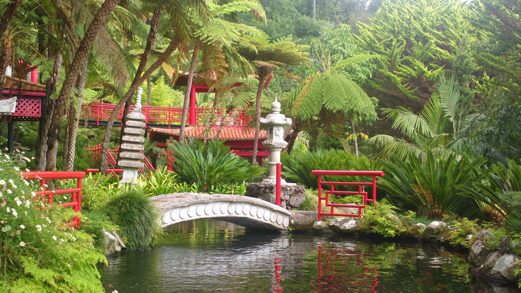 Japan in Madeira by petaqui