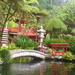 Japan in Madeira by petaqui