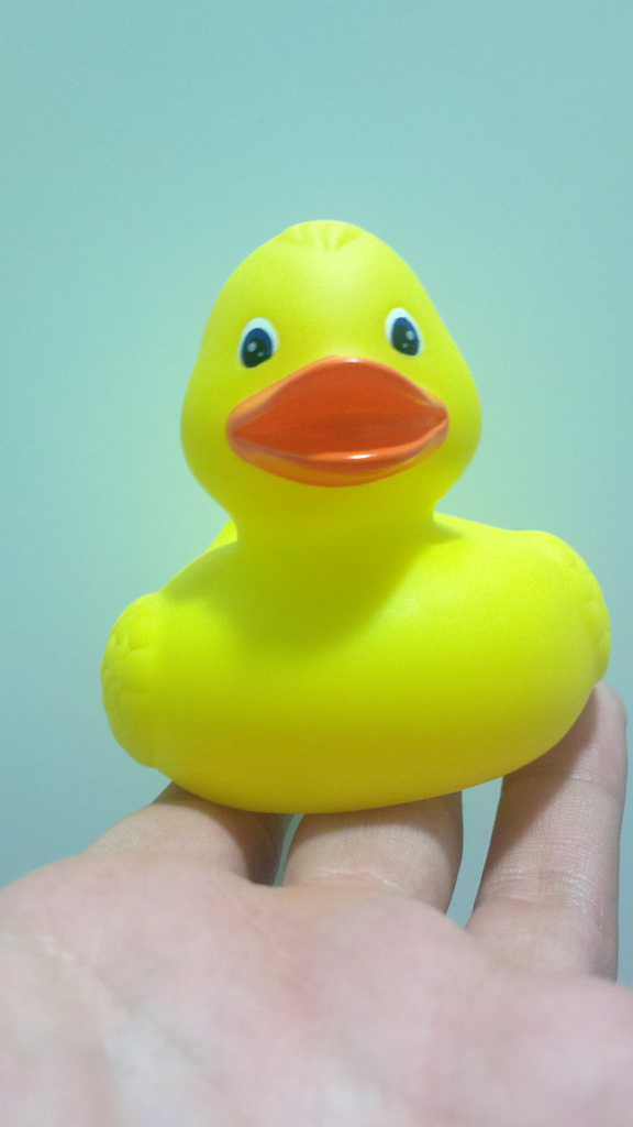 Duck duck by petaqui