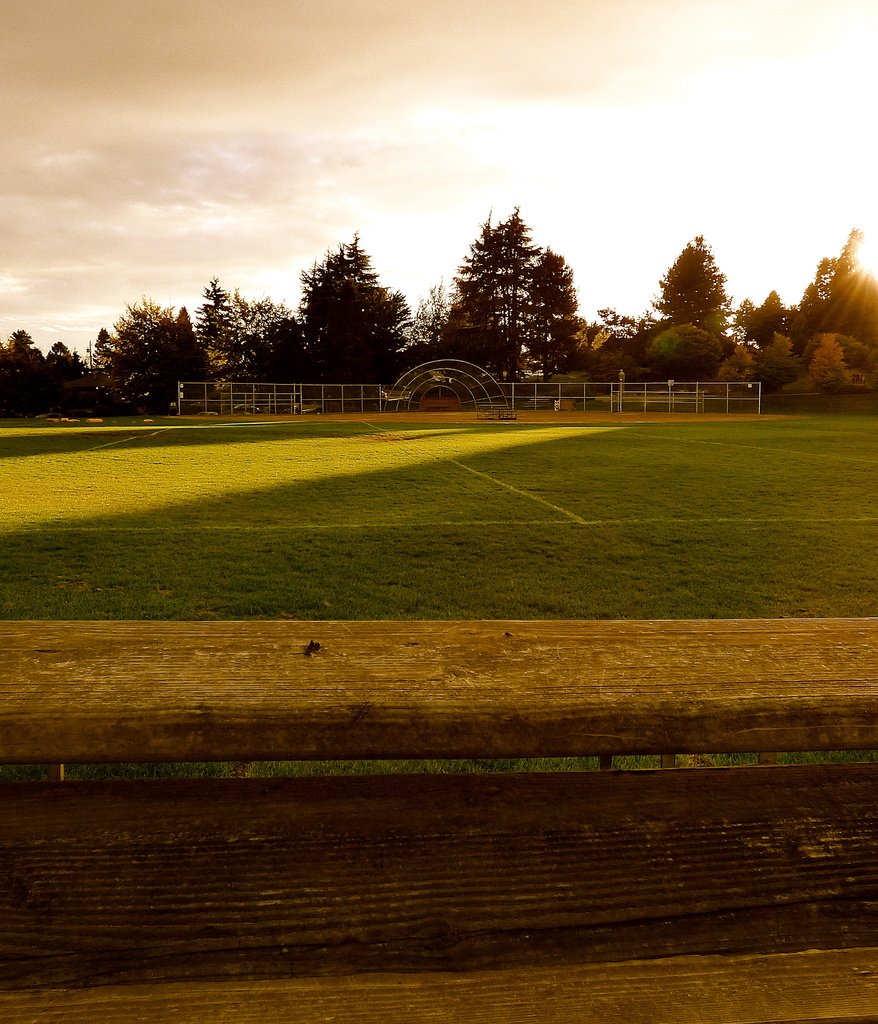 Empty ballfield and Empty benches by princessleia