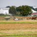 Amish country by danette