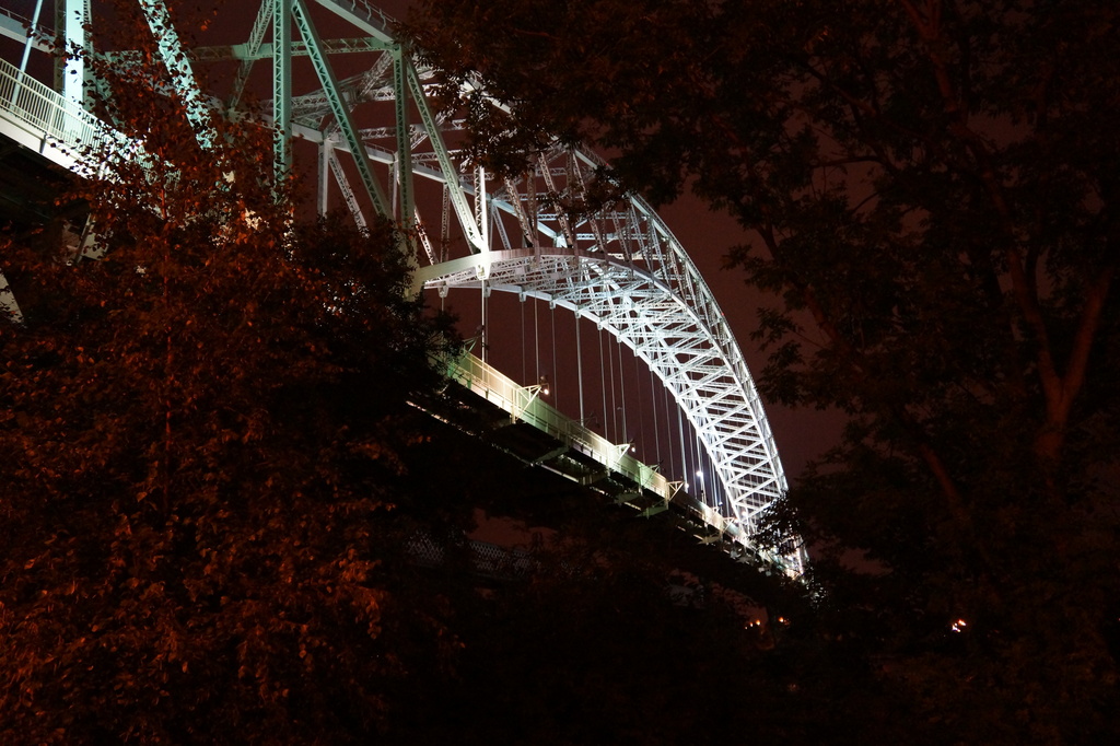 BENEATH THE BRIDGE  by markp