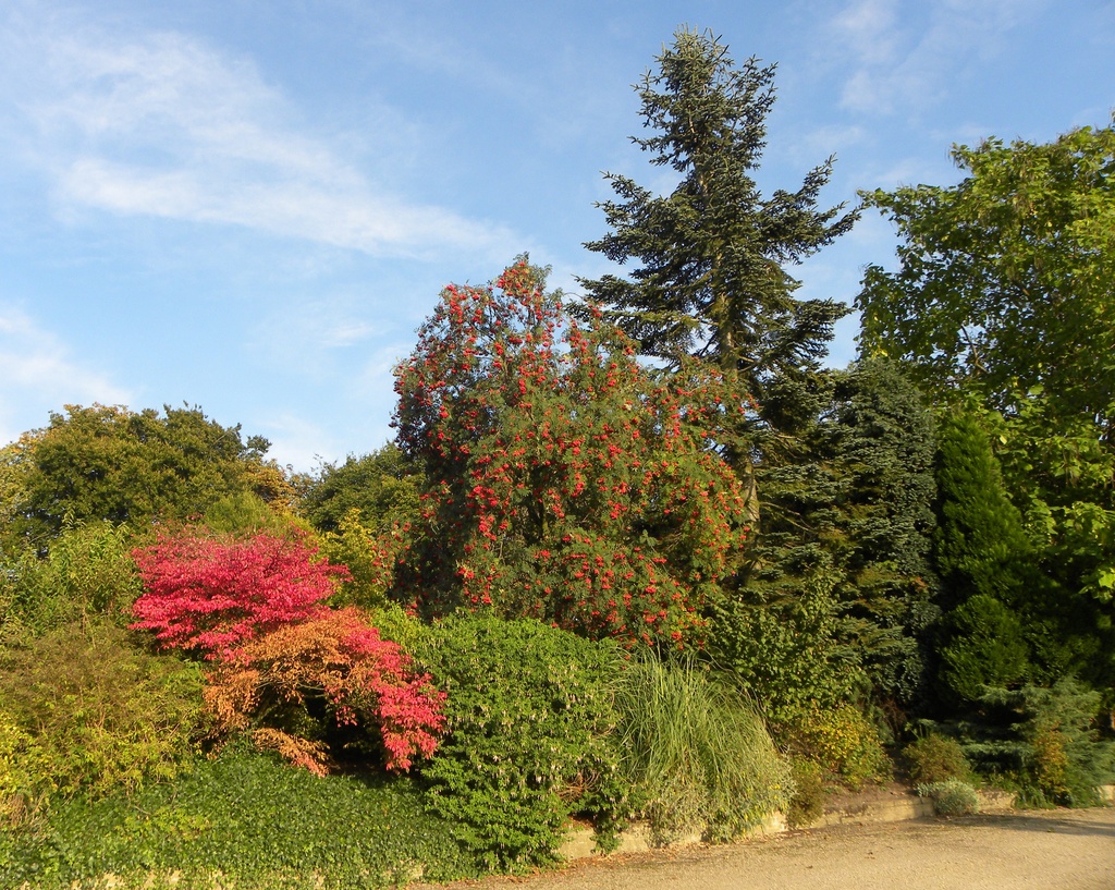 Autumn at the Arboretum by oldjosh
