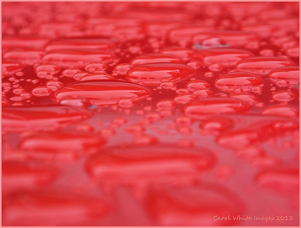 Raindrops In Red by carolmw