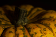 4th Oct 2013 - Gourd