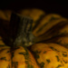 Gourd by rachel70
