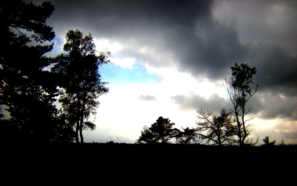Dark clouds and blue sky above the heath land by pyrrhula