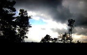 4th Oct 2013 - Dark clouds and blue sky above the heath land