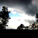 Dark clouds and blue sky above the heath land by pyrrhula