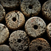 Cork Circles by kwind