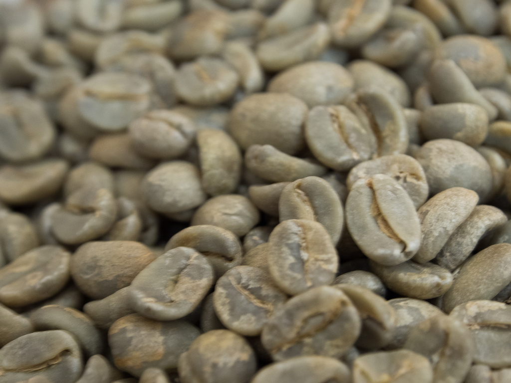 Green Coffee Beans by khrunner