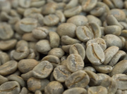 4th Oct 2013 - Green Coffee Beans
