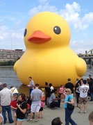 3rd Oct 2013 - Rubber Ducky in Pittsburgh!